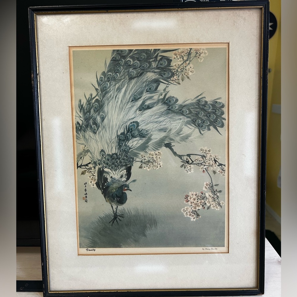 Elegant Peacock Art Print in Black Frame - Chang Shu Chi Vintage
